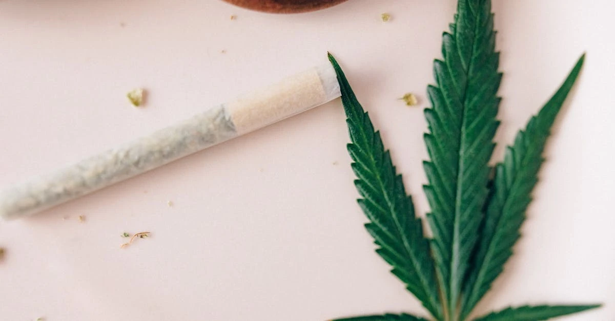 découvrez l'importance de la structure juridique pour votre entreprise. apprenez-en plus sur les différentes options et choisissez celle qui convient le mieux à vos objectifs et à votre croissance.