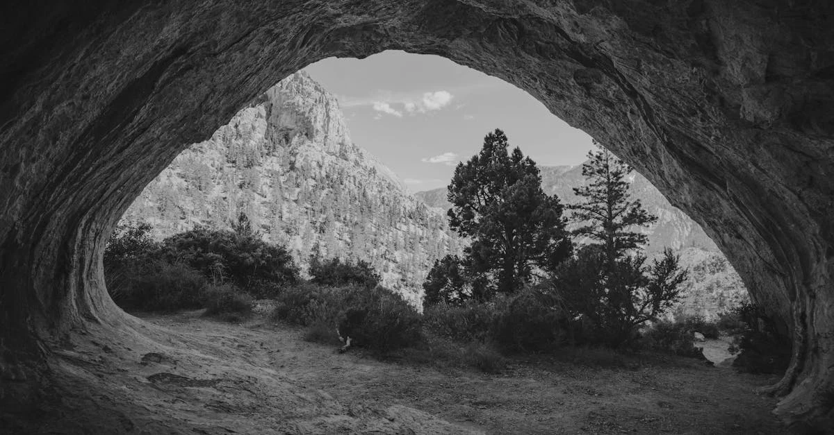 découvrez comment adopter une niche pour votre projet : stratégies, avantages et conseils pratiques pour vous démarquer et atteindre votre public cible efficacement.