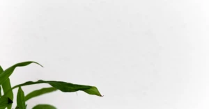 découvrez notre blog dédié au consulting b2b : conseils d’experts, bonnes pratiques, tendances du secteur et analyses approfondies pour accompagner la transformation et la performance des entreprises.