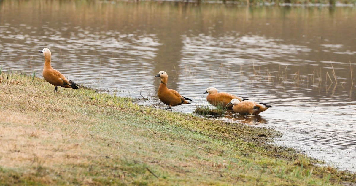 découvrez le salaire moyen d'un électricien en suisse, les facteurs influençant la rémunération ainsi que les perspectives de carrière dans ce secteur en pleine croissance.