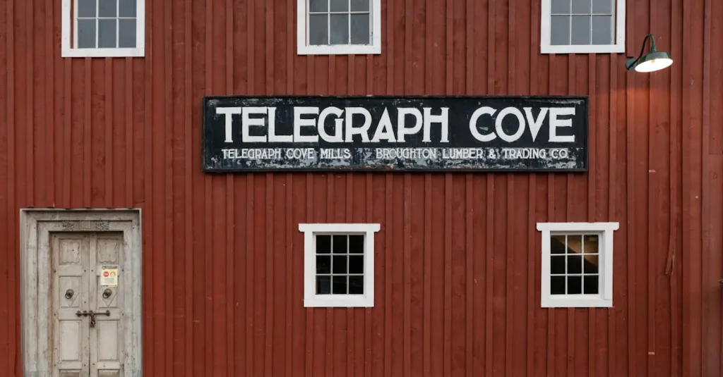 découvrez la signification du nom de votre entreprise et l'histoire qui se cache derrière son choix.