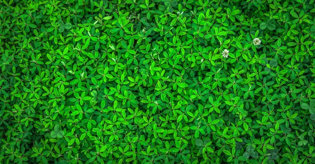 découvrez companyname, votre partenaire de confiance pour des solutions innovantes et personnalisées. expertise, qualité et satisfaction au rendez-vous.