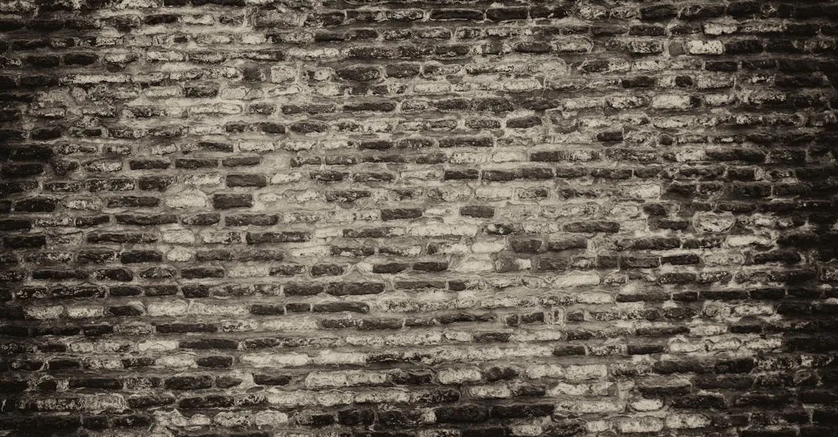 découvrez taviluwazas, votre source d'inspiration et d'informations uniques. explorez des contenus captivants et innovants adaptés à tous les goûts.