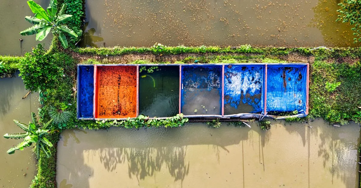 découvrez l'aquaponie, une méthode écologique combinant aquaculture et hydroponie pour cultiver plantes et poissons de manière durable et efficace.