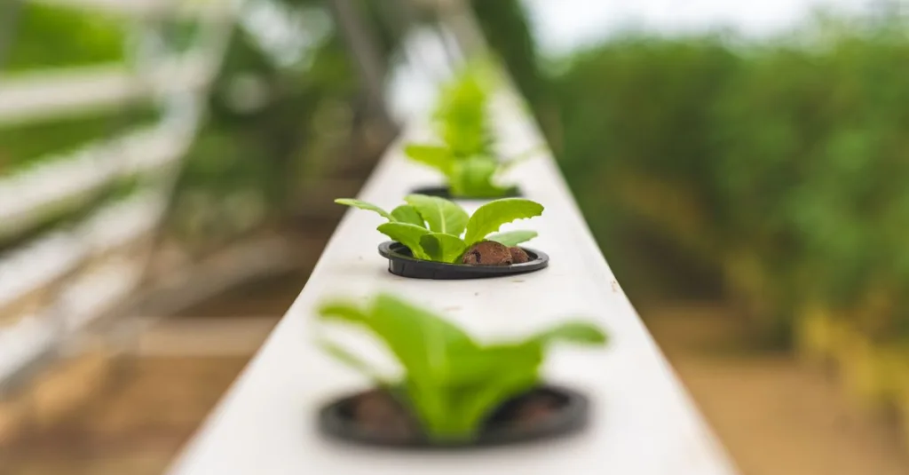 découvrez l'aquaponie, une méthode durable combinant l'aquaculture et l'hydroponie pour cultiver des poissons et des plantes de manière écologique et efficace.