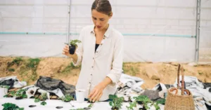 découvrez l'agriculture écologique innovante : des méthodes durables et respectueuses de l'environnement pour un futur agricole responsable et productif.
