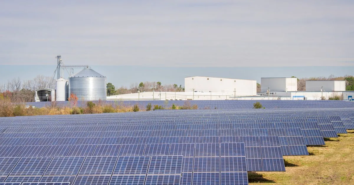 découvrez nos panneaux solaires efficaces et durables pour une énergie renouvelable, économique et respectueuse de l'environnement.