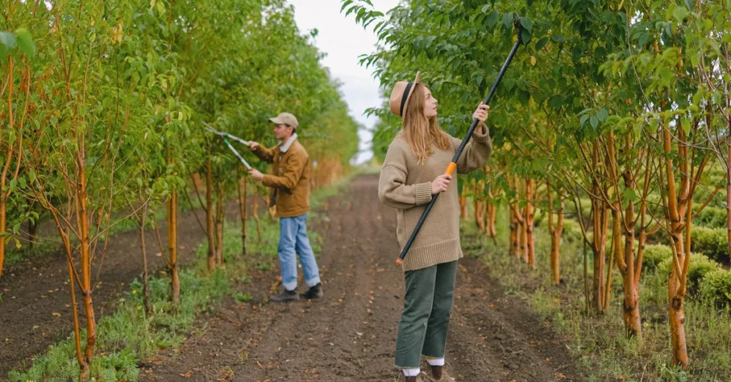 apprenez les meilleures techniques d'élagage pour entretenir vos arbres et arbustes, favoriser leur croissance et préserver leur santé.
